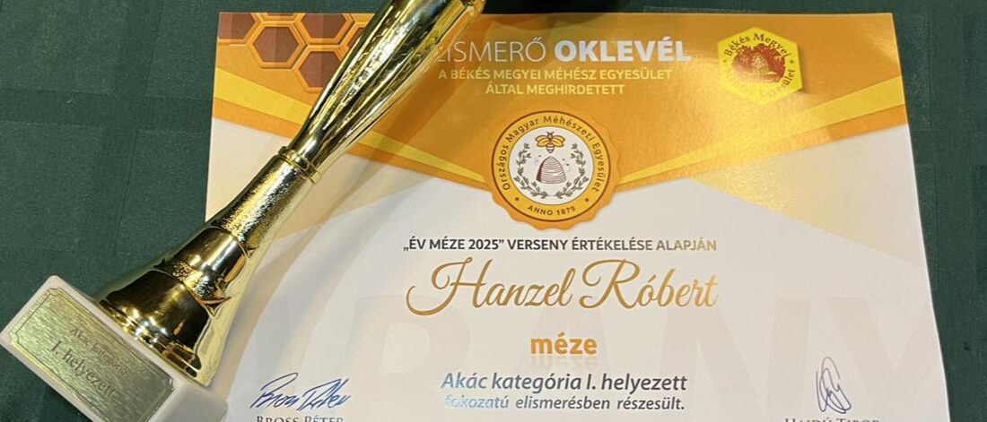 596163213_1399119985559229_2781245490757149098_n 596163213_1399119985559229_2781245490757149098_n