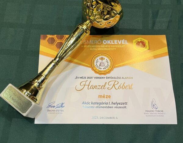 596163213_1399119985559229_2781245490757149098_n